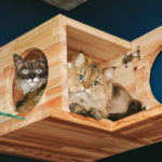 「心が傷つきやすい」性格や原因と傷つかない為のマインド法