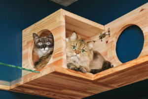 「心が傷つきやすい」性格や原因と傷つかない為のマインド法