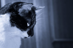 マウンティング女子とは？厄介な相手からの回避＆撃退方法