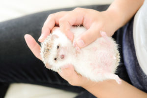 ストレスは感じた方がいい！ストレスをパワーに変える方法