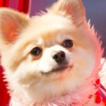 ムカつき。イライラ原因を解消！「器の大きい人」になる方法