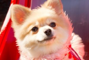 ムカつき。イライラ原因を解消！「器の大きい人」になる方法