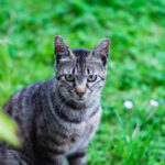 うんざり!ケチな人の心理・特徴と上手な付き合い方!