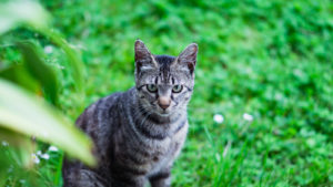 同族嫌悪を減らせば人付き合い・人間関係がグッと楽になる！