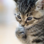 仕方ない。30代～40代アラフォー世代は友達が少なくなる理由