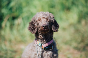 相手が気持ち良く話せる4つの愚痴の上手な聞き方！