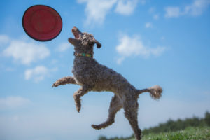 小心者？気が弱い？臆病な人が度胸を身につける成功体験方法