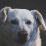 あなたの周りいるうんざりする人の9つの心理や特徴!